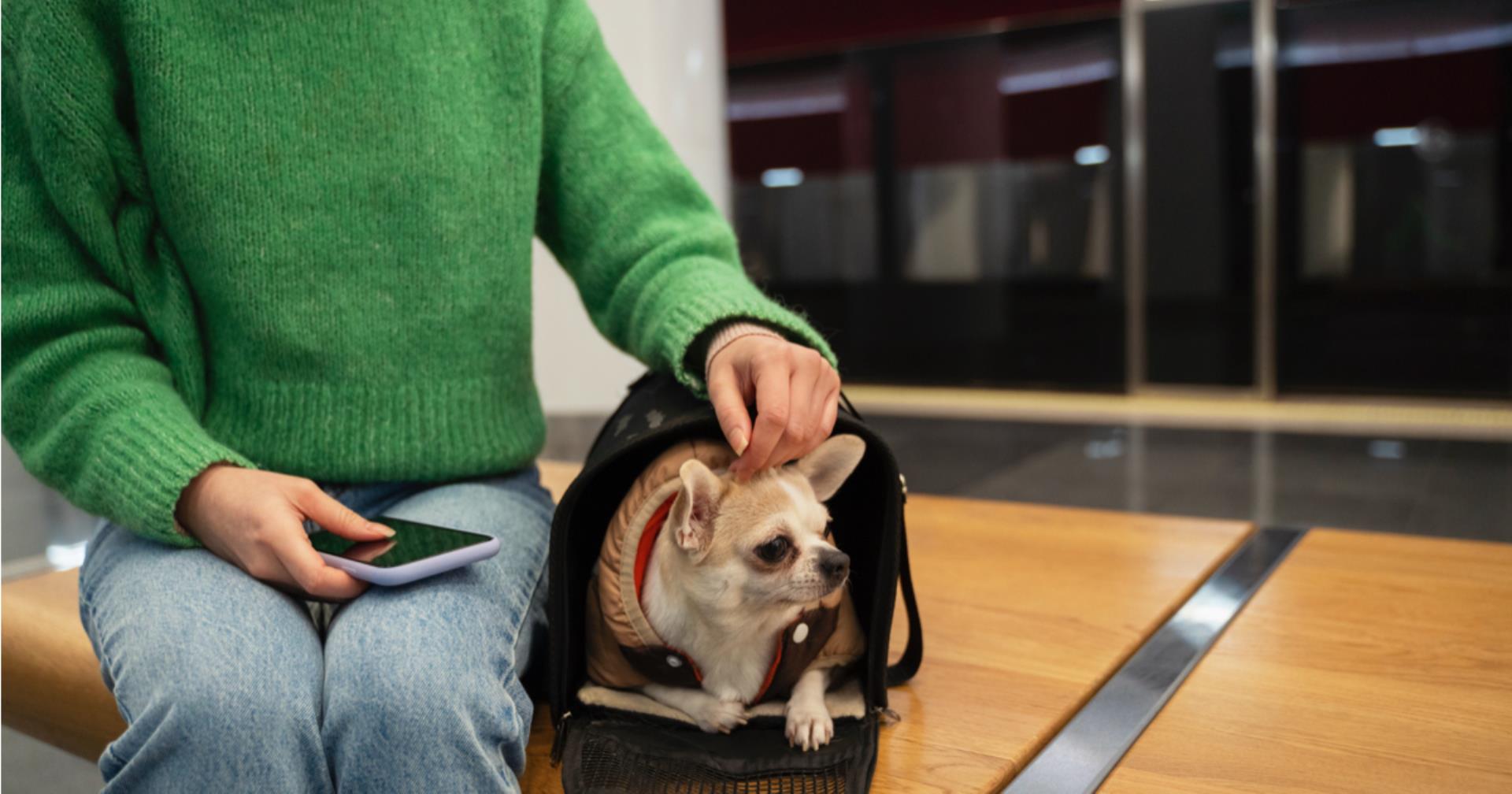 Hayvan Refahı Politikası